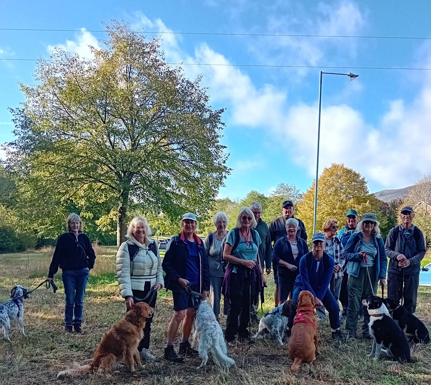 You are currently viewing Our Very First Dog Friendly Walk